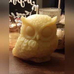 🍁Owl Beeswax Pillar Candle 🍂🧡
